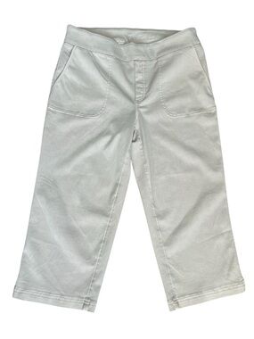 Up! Pull On Stretch Capri Pants Tan Size XL